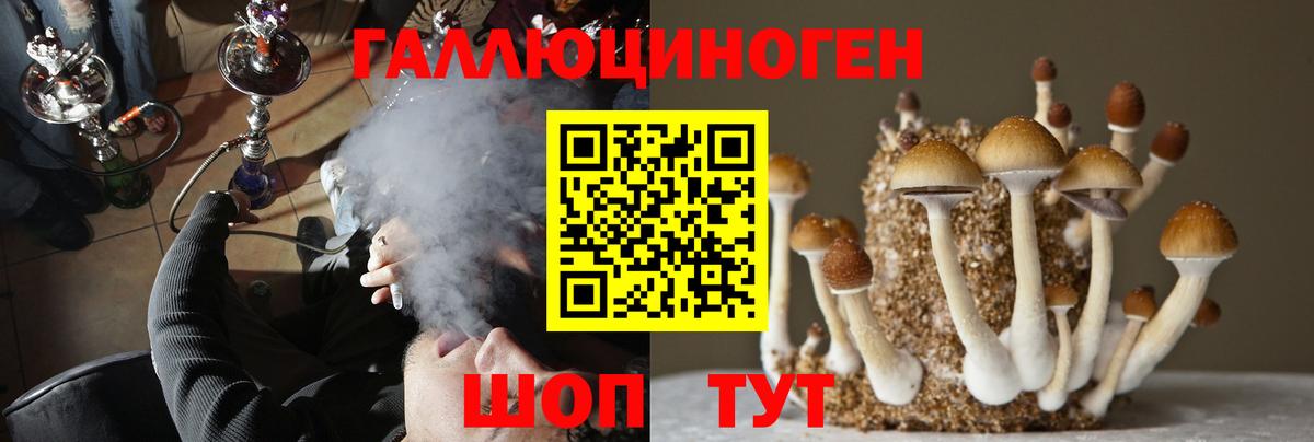 Галлюциногенные грибы Psilocybine cubensis Муром